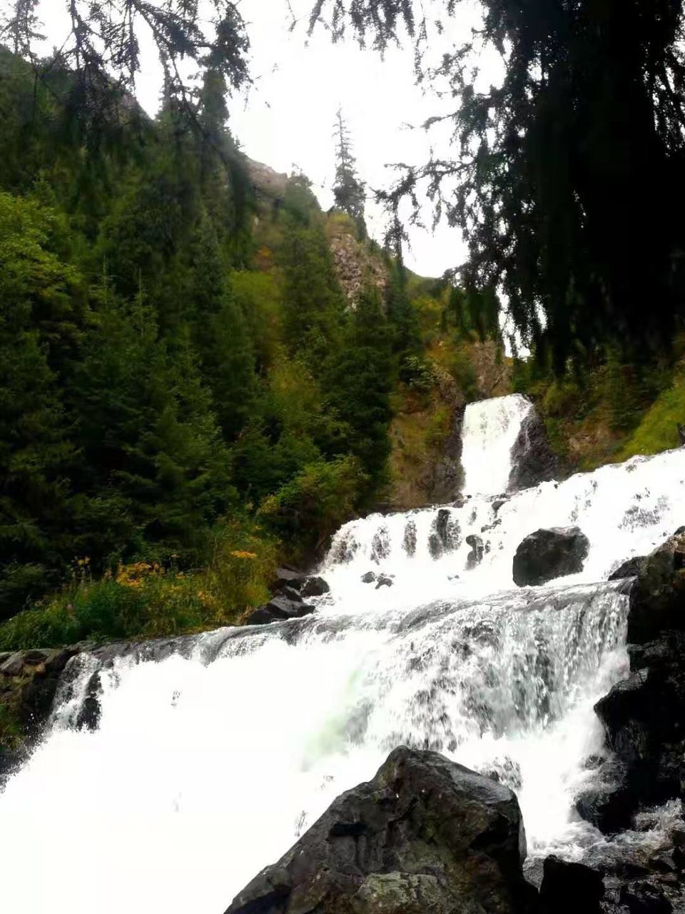 微信图片_201908121600436