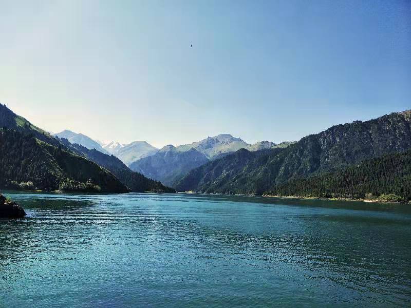 微信图片_201908121601532