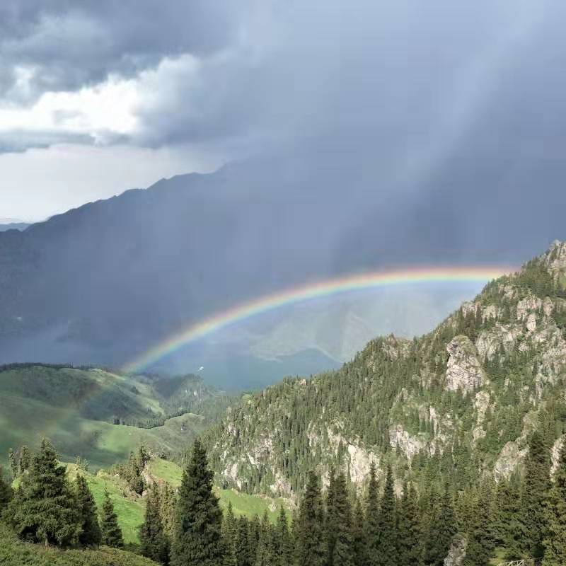 微信图片_201908121601533