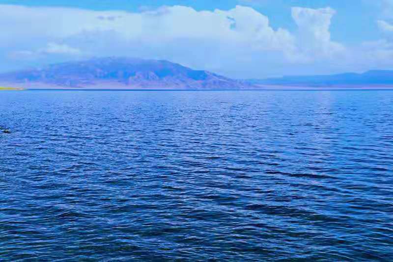 微信图片_201908121601537