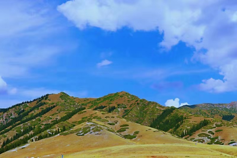 微信图片_201908121601538