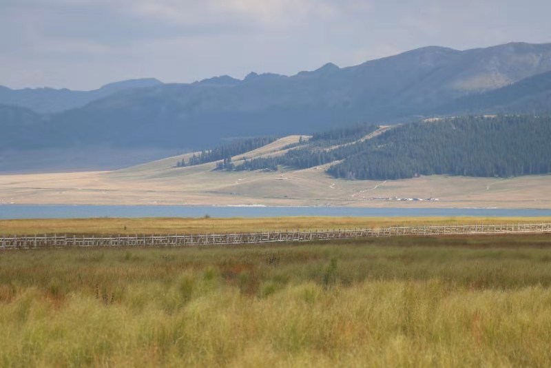 微信图片_201908121603411