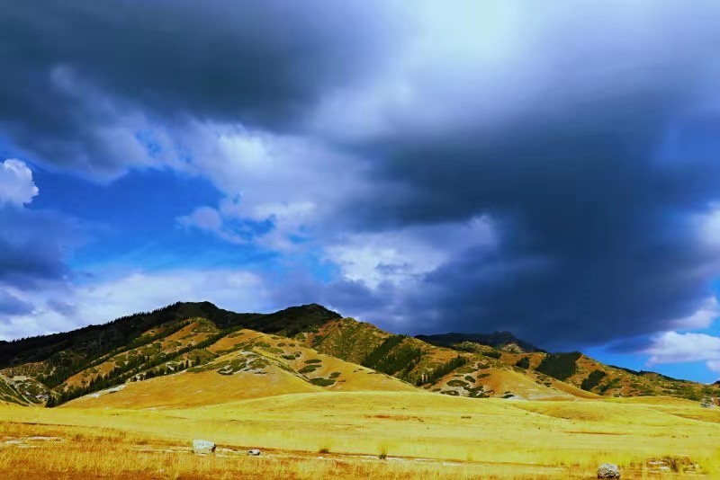 微信图片_2019081216015312