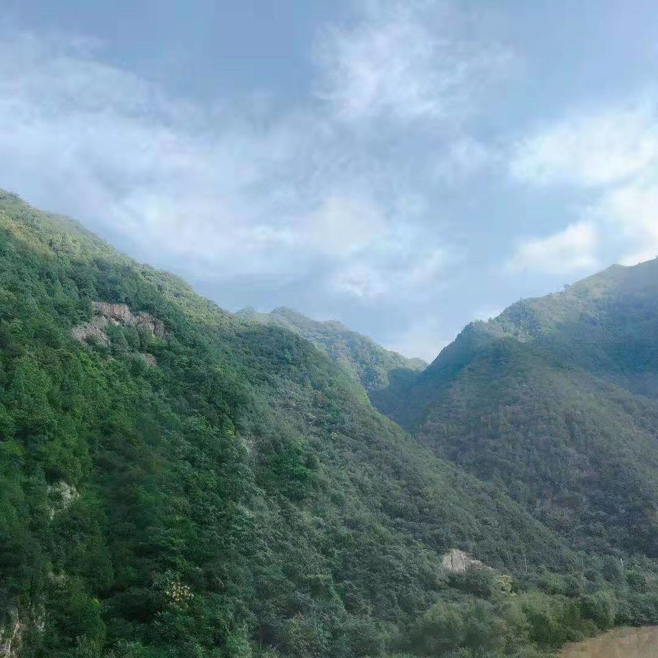 微信图片_2019081216034112