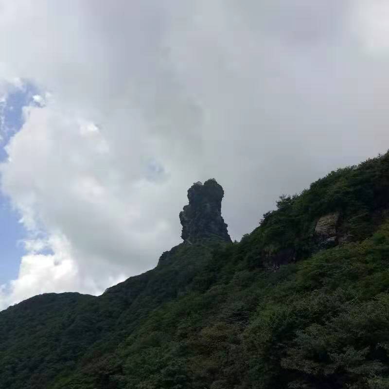 微信图片_20190813100845
