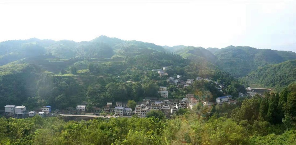 微信图片_201908131010247