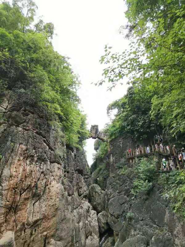 微信图片_201908131014001