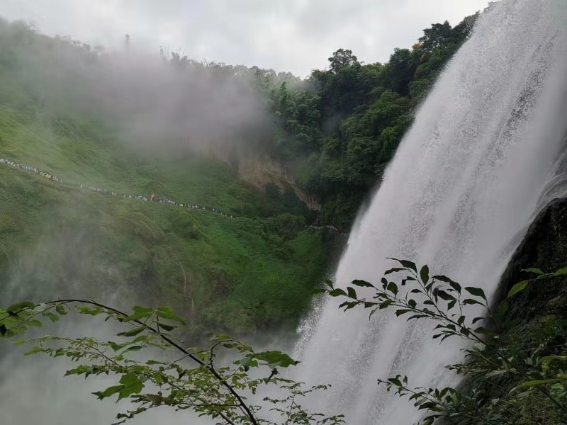 微信图片_201908131014004