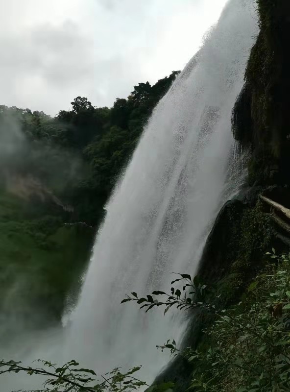 微信图片_201908131014006