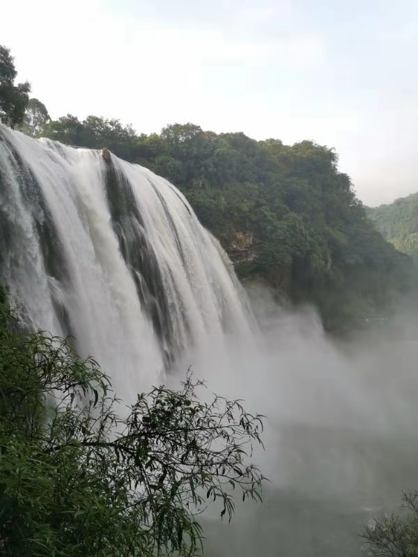 微信图片_201908131014441