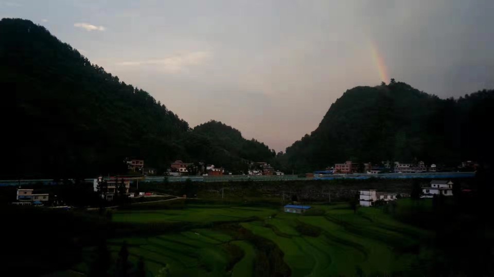 微信图片_201908131014445