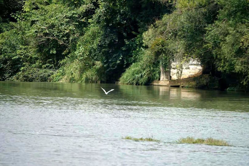 微信图片_201908131014446