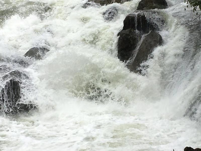 微信图片_201908131015341