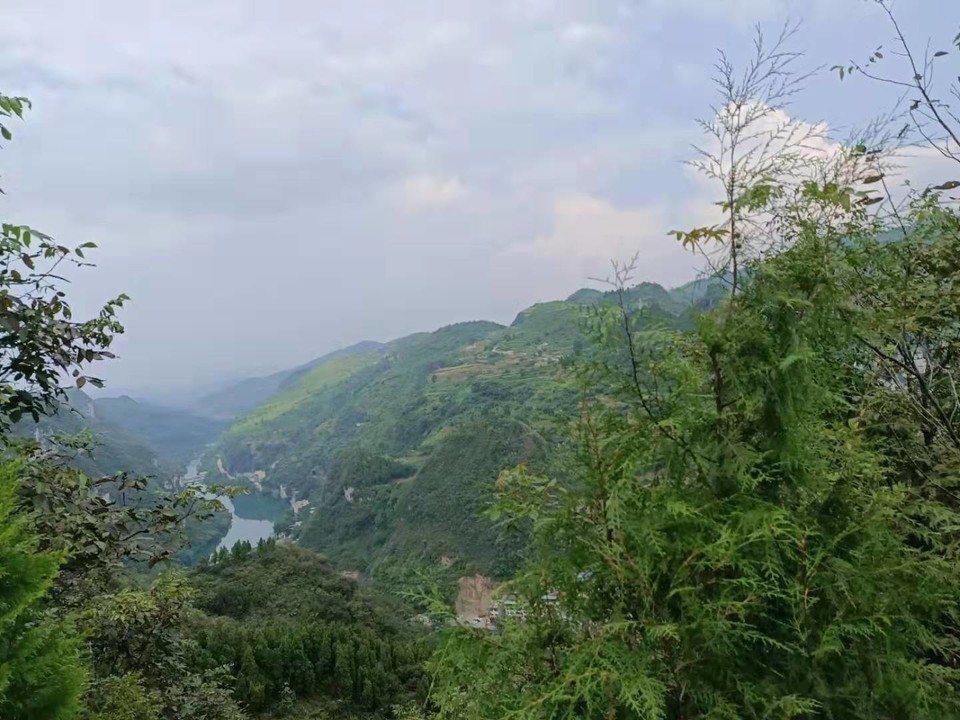 微信图片_2019081310084517