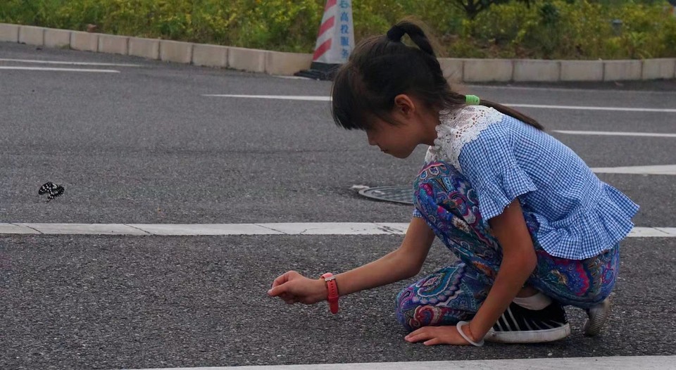 微信图片_2019081310084527