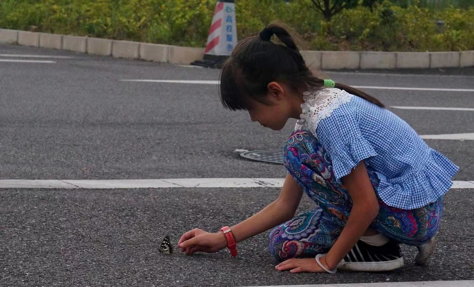 微信图片_2019081310084528