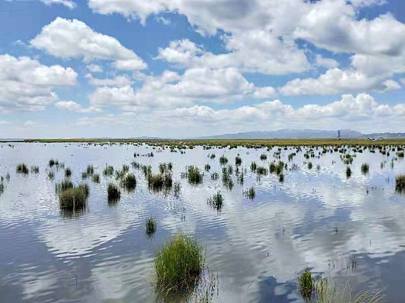 微信图片_20190814162027