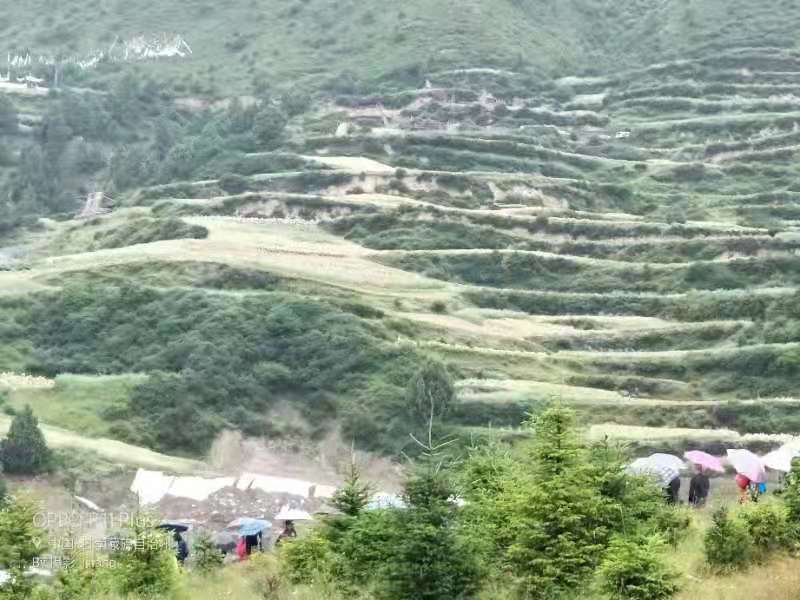 微信图片_20190814162649