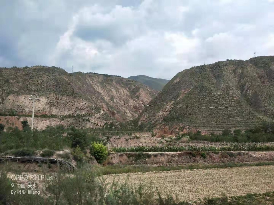 微信图片_201908141611081