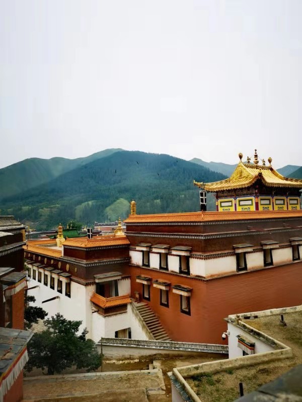 微信图片_201908141612211