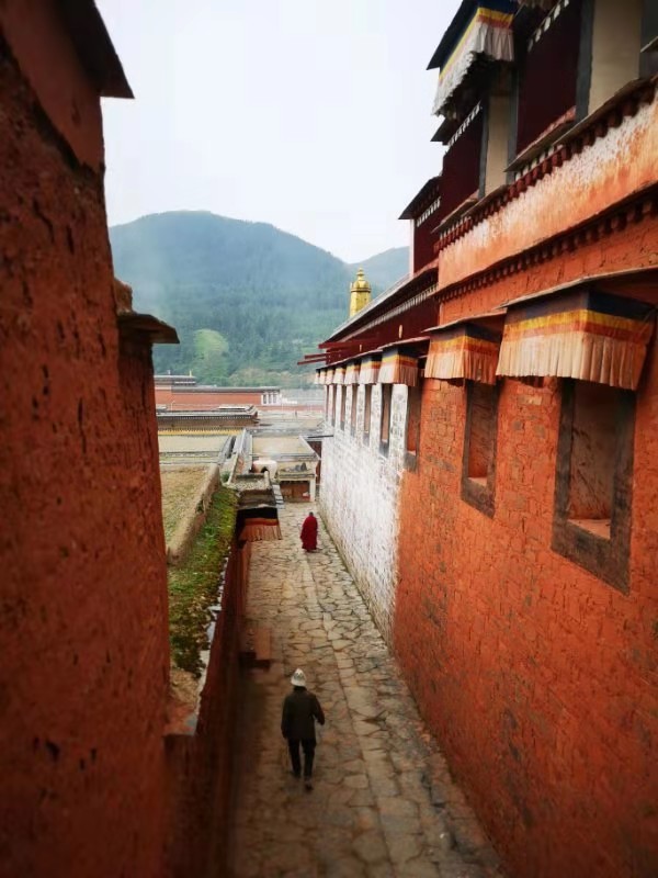 微信图片_201908141612212