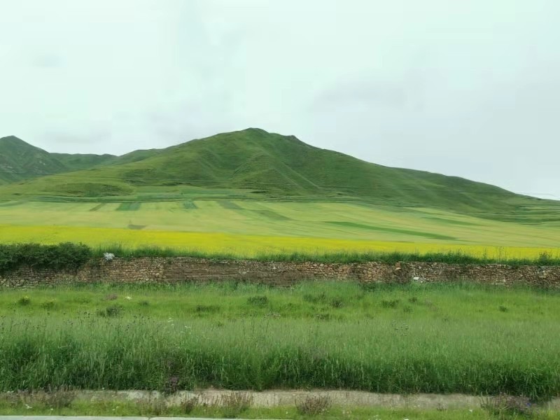 微信图片_201908141612213