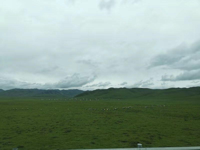 微信图片_201908141612214