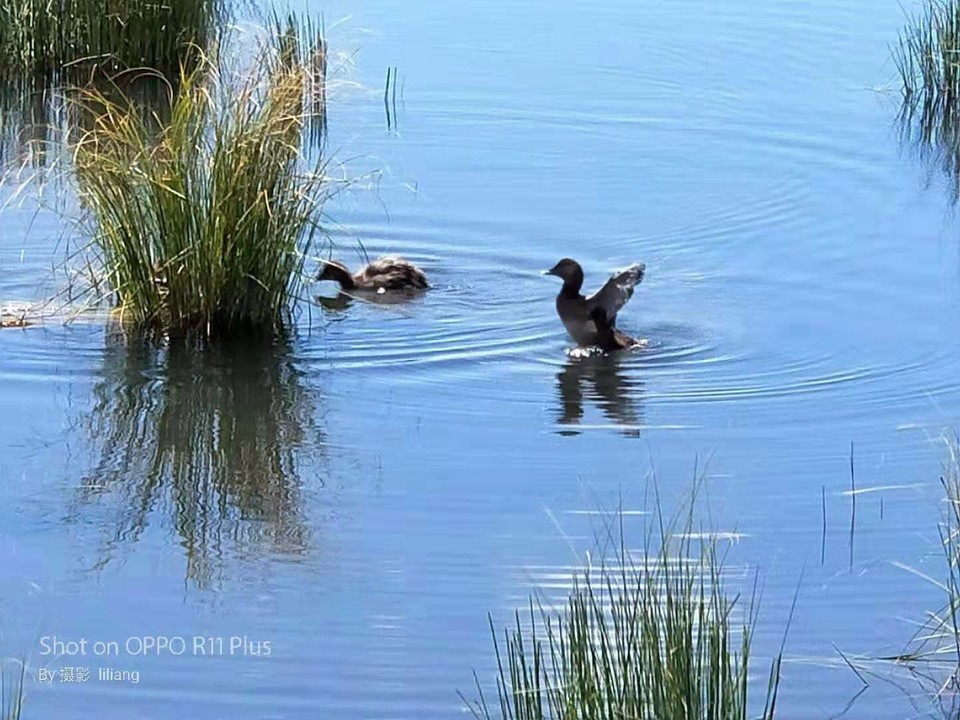 微信图片_201908141617036