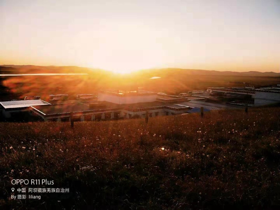 微信图片_201908141618084