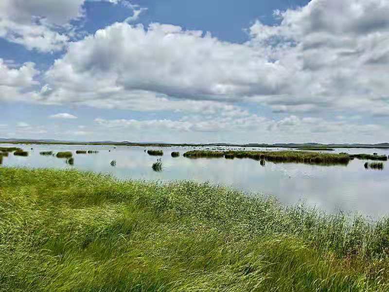 微信图片_201908141618505