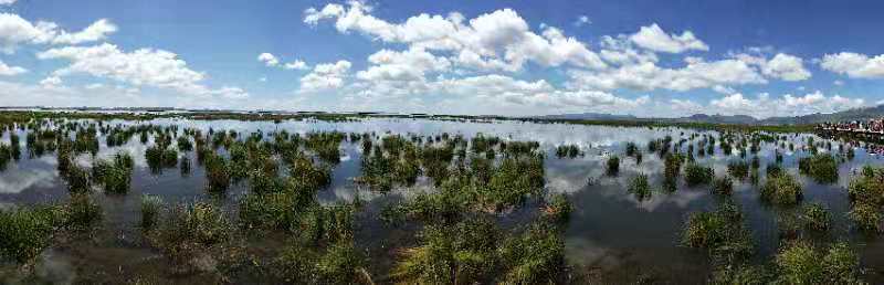 微信图片_201908141619303