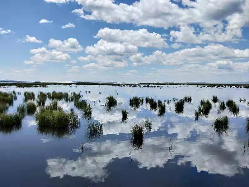 微信图片_201908141619304