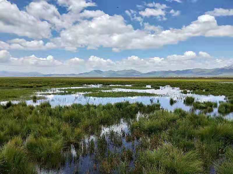 微信图片_201908141620271