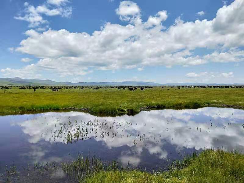 微信图片_201908141621072