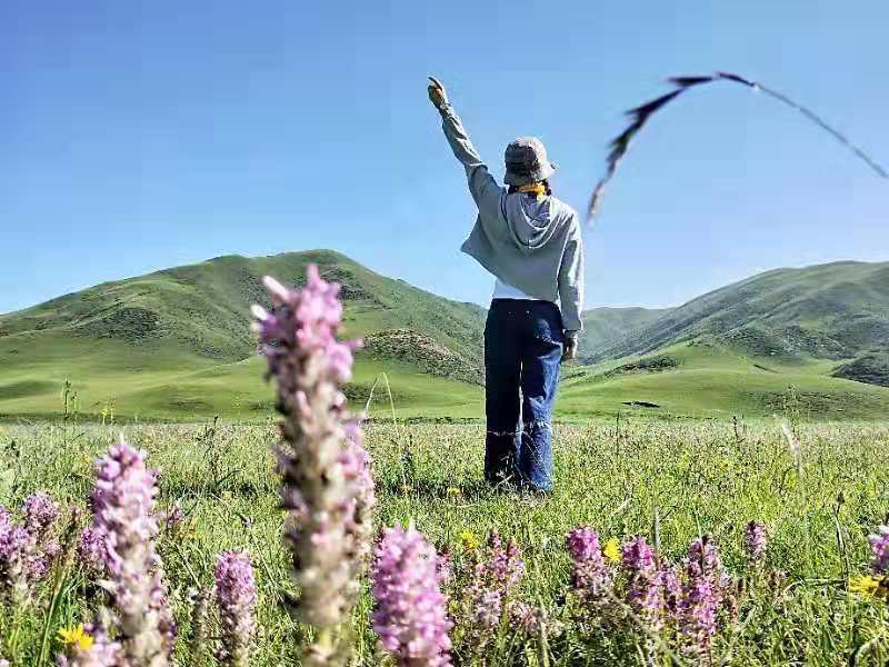 微信图片_201908141622081