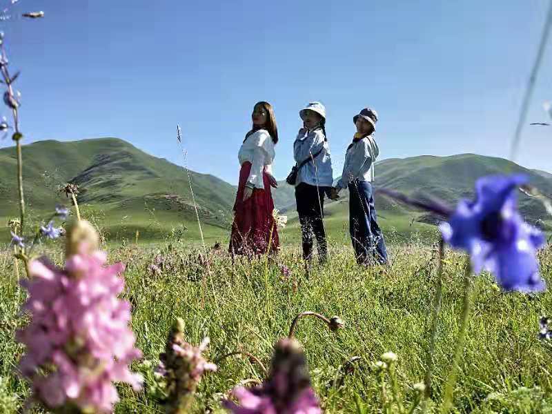 微信图片_201908141622085