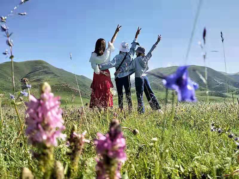 微信图片_201908141622087