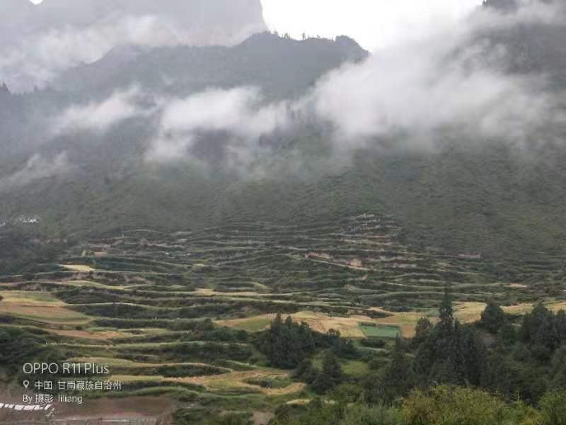 微信图片_201908141626491