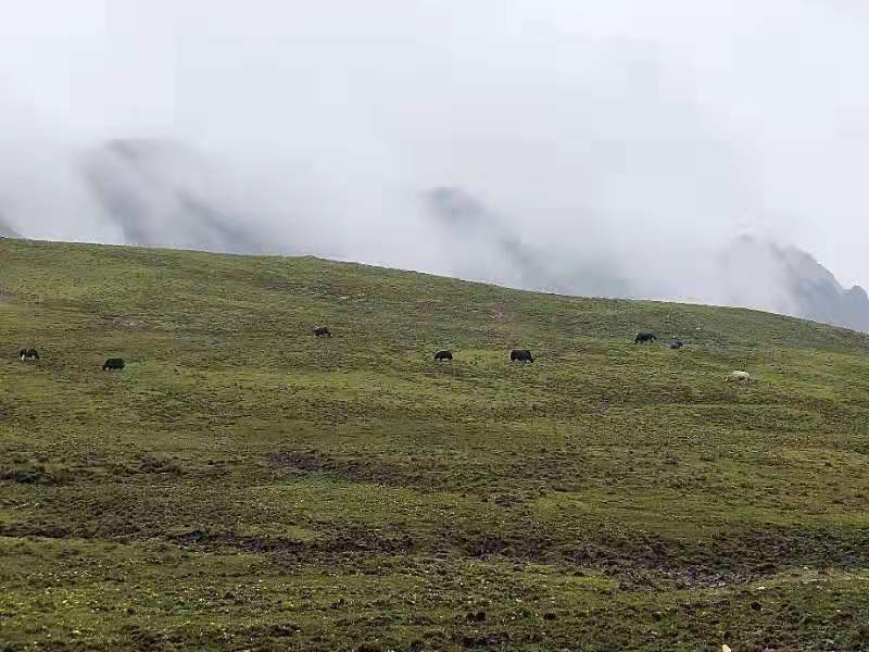 微信图片_201908141627452