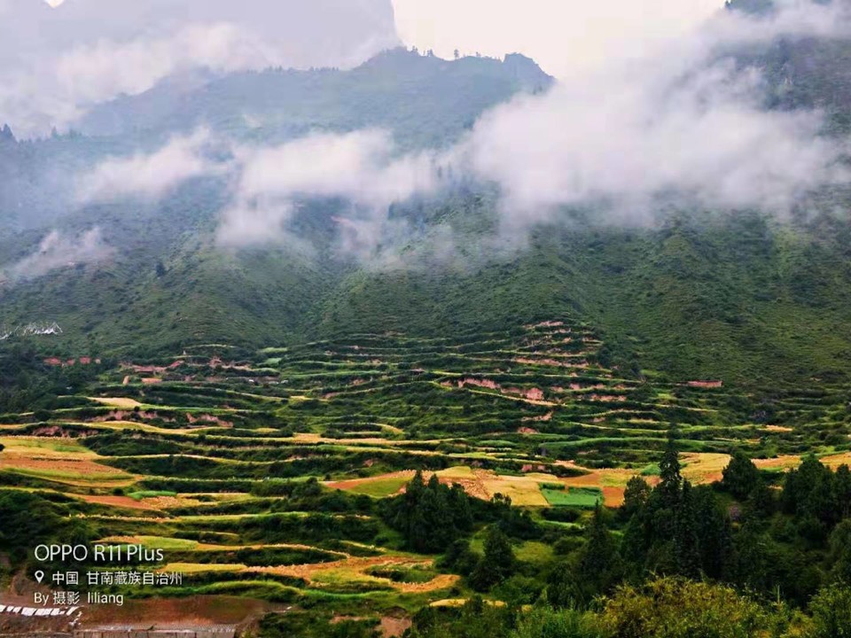 微信图片_201908141627455