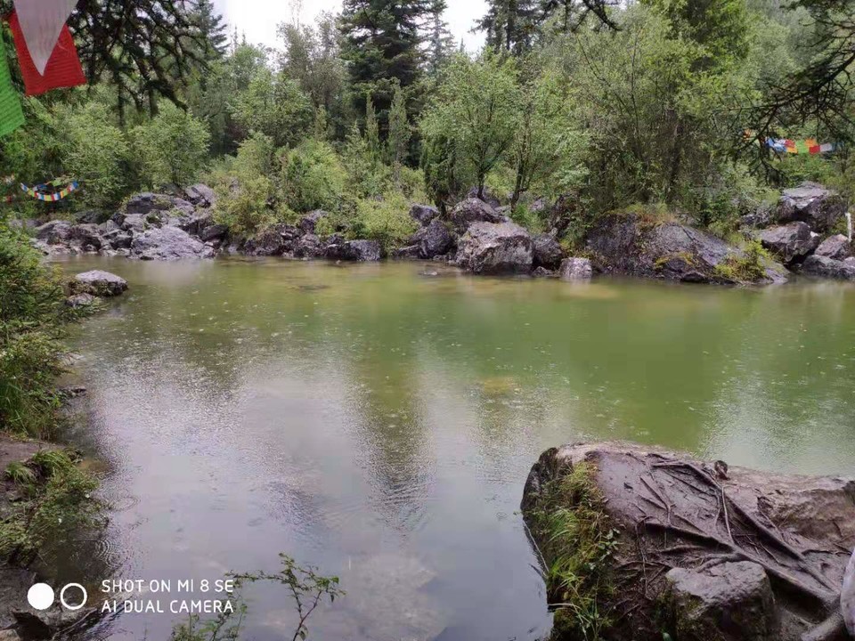 微信图片_201908141631273