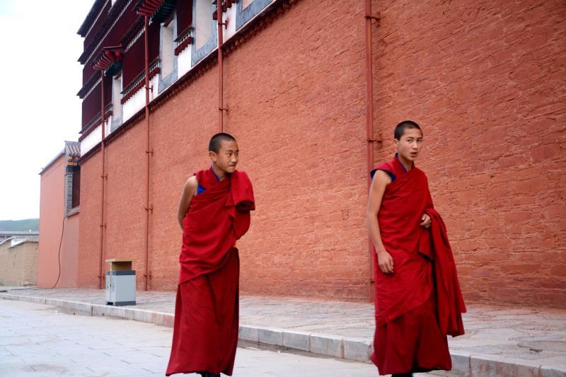 微信图片_201908141633491