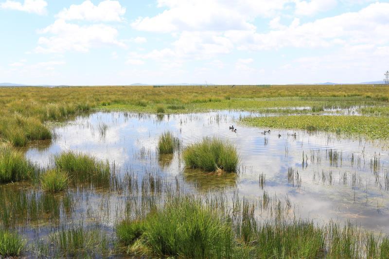 微信图片_201908141633496