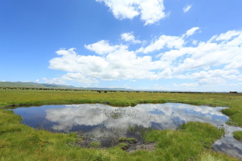 微信图片_201908141633497