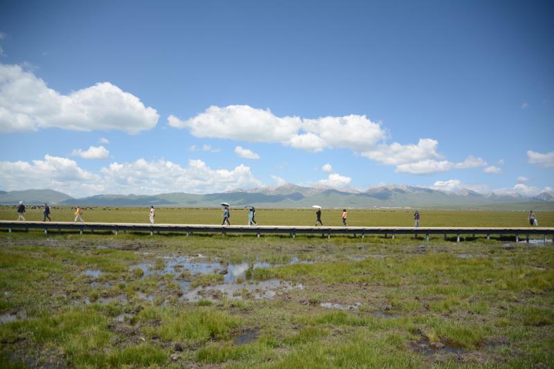 微信图片_201908141640055