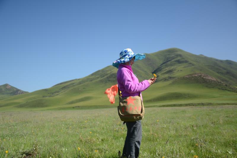 微信图片_201908141640057