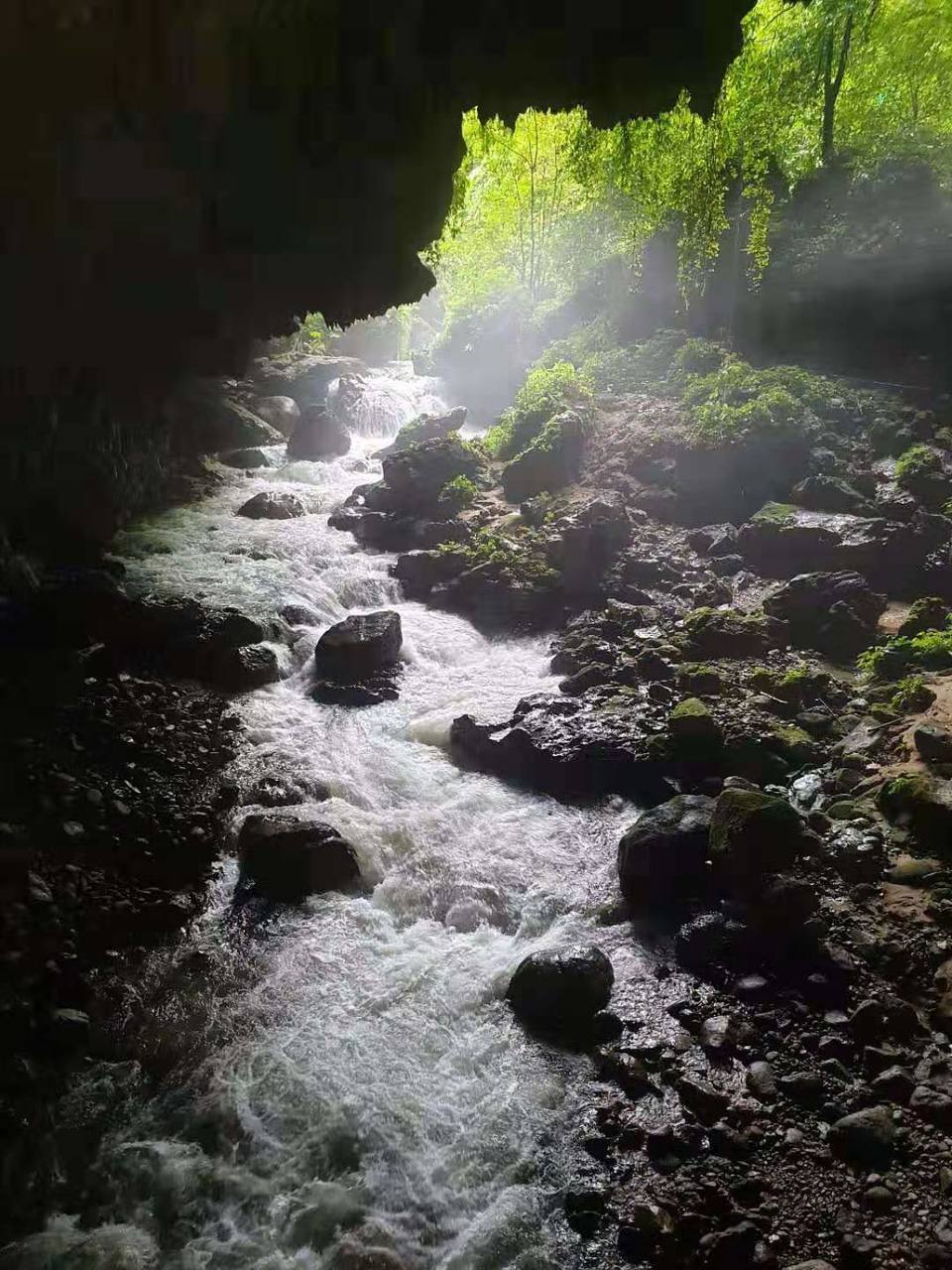 微信图片_20190815111518