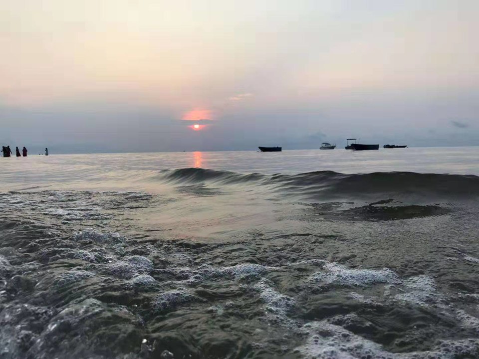 微信图片_201908151112264