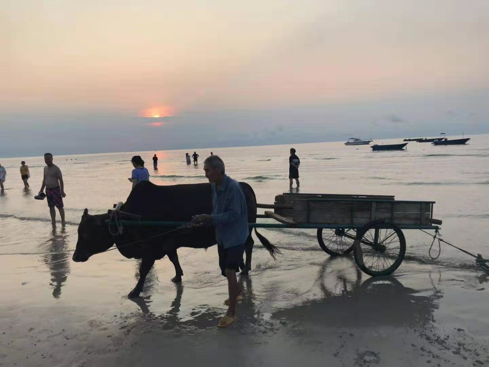 微信图片_201908151112265