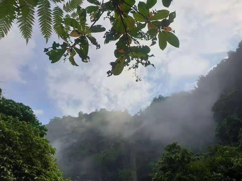 微信图片_201908151114481